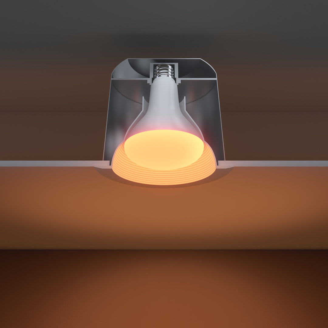 BR30 Circadian Lightbulb