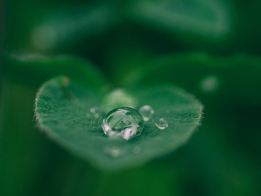The Hidden Stress of Synthetic Fragrances: How Scent Impacts Hormones and the Nervous System