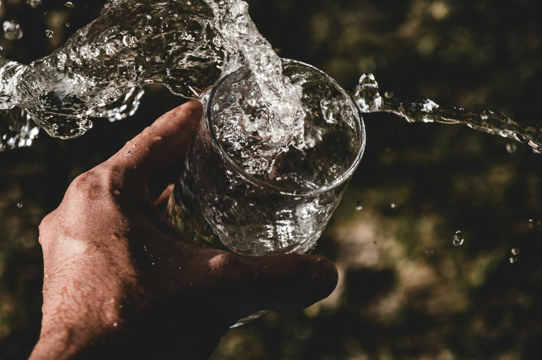 Water as Structure, Not Just Hydration: How Your Home’s Water Quality Affects Cells