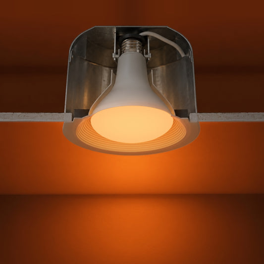 A Healthy Home BR30 bulb showing the connection type.