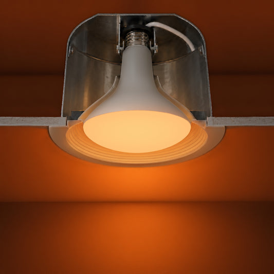 A Healthy Home BR40 bulb showing the connection type.
