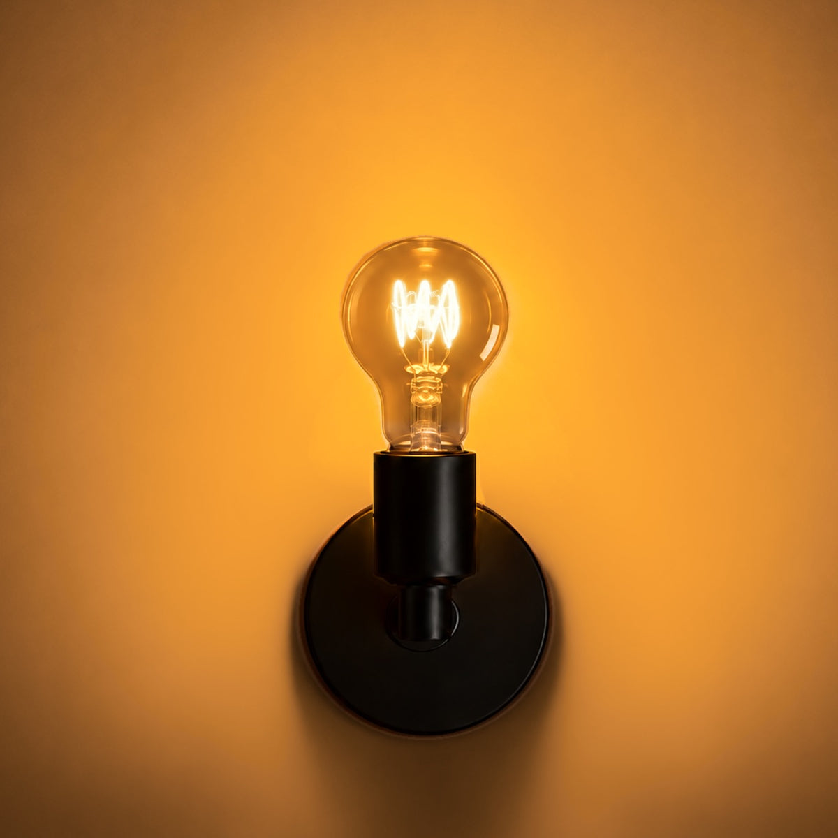 Healthy Home Edison Bulb