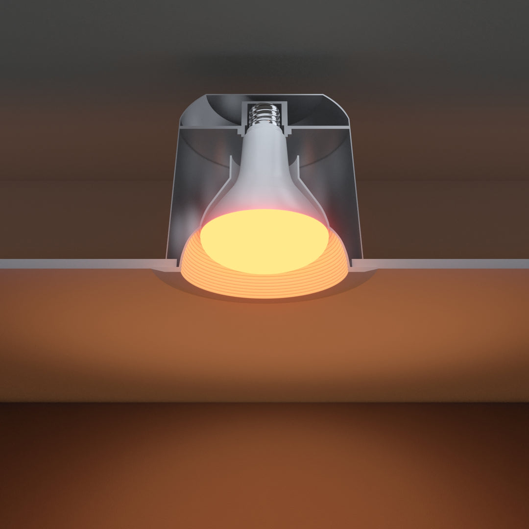 BR30 Circadian Lightbulb