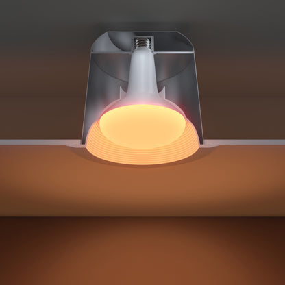 BR40 Circadian Lightbulb