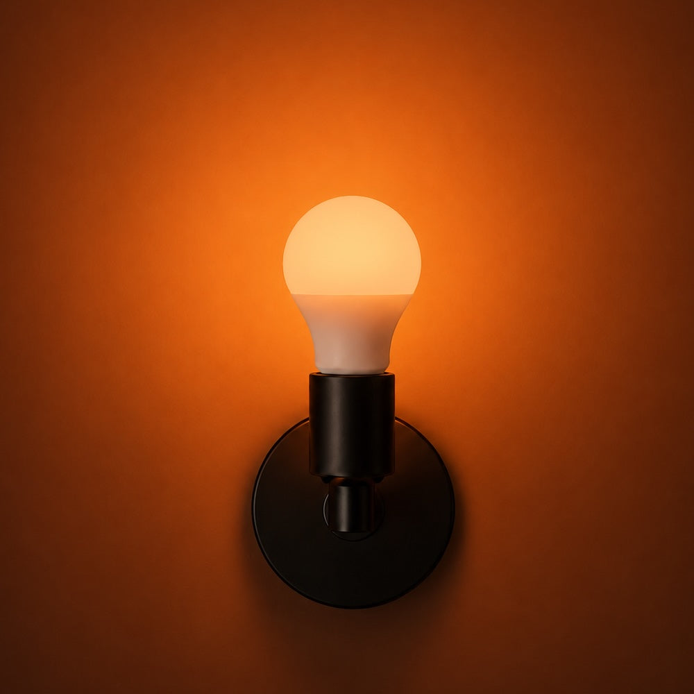 healthy home circadian lightbulb in campfire setting.