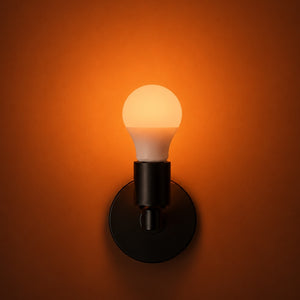 healthy home circadian lightbulb in campfire setting.